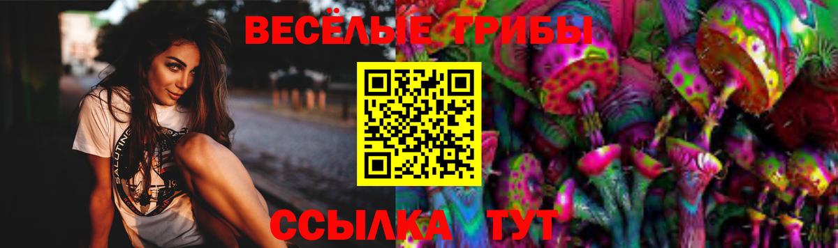 Галлюциногенные грибы Psilocybine cubensis  Вход с VPN  Галлюциногенные грибы GOLDEN TEACHER  Тверь 